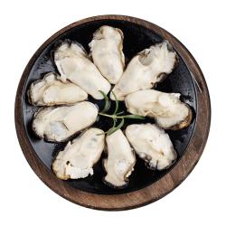 美加佳 韩国大号冷冻牡蛎肉 生蚝肉 净重500g