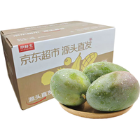 京鲜生四川攀枝花凯特芒果4.5-5斤单果400g起 新鲜大青皮 水果 源头直发 凯特芒果4.5斤单果300g起