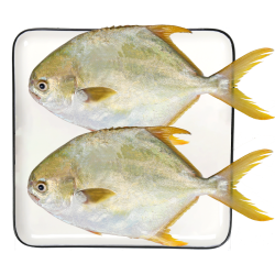 翔泰 深海金鲳鱼 900g