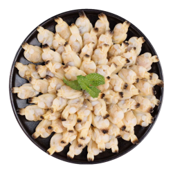 美加佳 蚬子肉 净重500g/ 免浆黑鱼片750g/刺身级三文鱼/泰森鸡块1kg