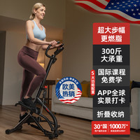 SUNNY 美国SUNNY爬楼机健身器材家用登山踏步机室内减肥家庭有氧运动