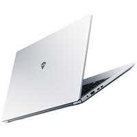 MACHENIKE 机械师 15N 16.0-16.9英寸 灰色(i7-13620H、intel 集成显卡、16GB、512GB+无机械硬盘、2560*1440、IPS、60Hz、MC15N)
