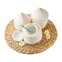 京觅 泰国椰青 大果 单果850g+ 2个