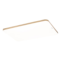 Panasonic 明畔客厅卧室灯 简约现代大气  调光调色夜灯 120w