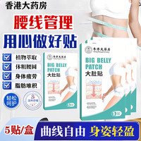 黎芙莎 燃脂祛湿排毒去除湿气贴*3