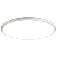 HP惠普护眼卧室吸顶灯现代简约led灯具极简超薄全光谱中山灯具房间主灯 素雅款-直径50cm-三色变光