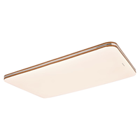 Panasonic 松下 HHLAZ6078LS 全光谱金边明畔客厅吸顶灯 120W