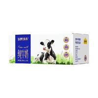 88VIP：认养一头牛 3.6g乳蛋白 纯牛奶