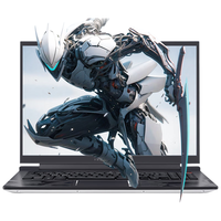 ThundeRobot 雷神 Zero 十四代酷睿版 16英寸 银灰色（酷睿i7-14650HX、RTX 4060 8G、16G、1TB SSD、2.5K、240Hz）