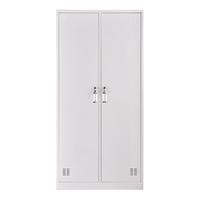 ZHONGWEI 中伟 二门更衣柜铁皮柜储物柜员工柜