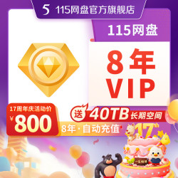 115 网盘 8年VIP 含40TB空间 专享提速通道 （每月8.3元）