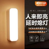 心有所属 Heart LocK D6感应灯 小夜灯 2500毫安 4W 黄光