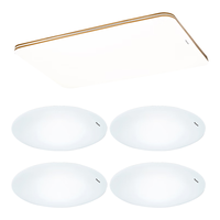 Panasonic 松下 吸顶灯客厅灯遥控调光调色超薄灯具 明畔四室一