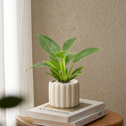 爱优尚 绿萝盆栽植物 ins风桌面小绿植 1
