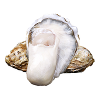 BEISILING 贝司令 2XL 乳山生蚝