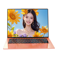 戴睿(dere)英特尔14英寸2K超清屏轻薄便携网课商务办公娱乐游戏32GG/1TB