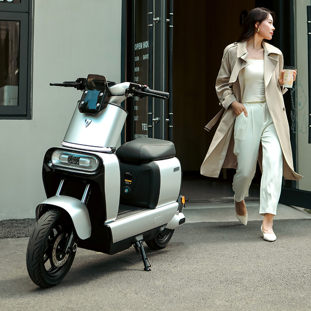 立马电动车 立马新国标电动自行车阿尔法48v代步电瓶车可上牌电动车