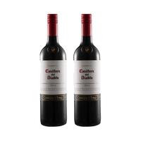 Concha y Toro 干露 红魔鬼 卡本妮苏维翁红葡萄酒 750ml*2瓶套装