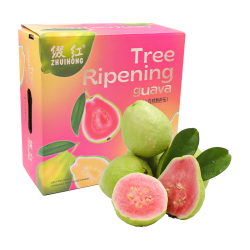 京鲜生 红心芭乐 净重3斤 单果150g+ 生鲜端午水果礼盒