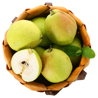 京鲜生 新疆库尔勒香梨5kg 一级 单果100-120g（低至3.99元/斤）