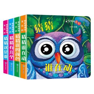 《宝贝的奇妙洞洞书·第一辑》 共4册