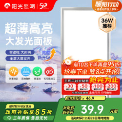 阳光照明 YANKON LED集成面板灯 300x600 36W 雾银 正白光