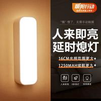 国家补贴：心有所属 Heart LocK 人体感应灯充电小夜灯感应卧室床头灯条磁吸衣橱柜楼梯道起夜壁灯 人体感应灯暖光款+1250mAh+16CM