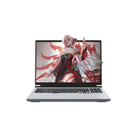 MECHREVO 机械革命 蛟龙16Pro 2023款 七代锐龙款 16英寸 游戏本 灰色(锐龙R7-7745HX、RTX 4060 8G、16GB、512GB SSD、2.5K、LED、240Hz)