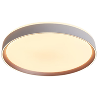 西顿照明（CDN）led吸顶灯卧室灯具全屋套餐客厅灯饰智能款48W无极