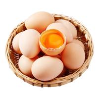 LD 力丹 可生食鸡蛋 40枚 1.28kg