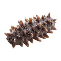 张奶奶 大连冷冻即食海参礼盒非干货辽刺参高品质深海底播自然生长海鲜 即食海参1500克 30-48头