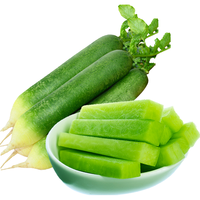 静益乐源 山东潍坊水果萝卜 2500g