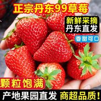 百亿补贴：玖玖农场 东港红颜草莓 1斤