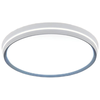 海德照明 HAIDE LIGHTING LED语音吸顶灯 客厅卧室灯 现代简约 遥控调光调色温 68W 夏星圆