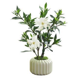 移动端、京东百亿补贴：八芽 小叶栀子花盆栽开花植物室内桌面茶几好养花卉绿植办公室净化空气 小叶栀子花-陶瓷竖纹盆 带盆栽好