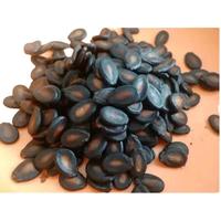 HATU 沙土 喝茶瓜子