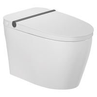 瑞尔特（R&T）轻智能马桶一体机无水压四季温感脚感冲水马桶智能坐便器 M3（305/400坑距）