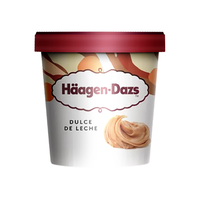 哈根达斯（Haagen-Dazs）超级太妃糖冰淇淋460ml 海外 桶装冷饮