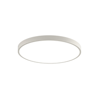 EYESPRO 孩视宝 AH31-T 儿童房吸顶灯 48W 4000K