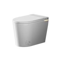 浪鲸(SSWW)卫浴小哆啦智能马桶无水压限制家用小户型自动坐便器座便器 浪鲸小哆啦018C-2【一级水效】 305/300mm 【配件齐全】