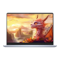 DELL/戴尔 高性能 笔记本电脑+32GB内存+1T高速固态 酷睿i5-12450H 集成显卡 1920*1200 银色 60Hz 16GB