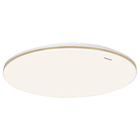 松下 Panasonic 吸顶灯客厅灯卧室灯智能全光谱护眼140瓦松洵 已接入米家APP