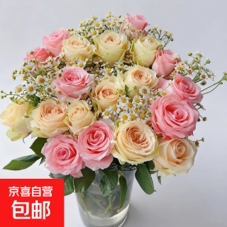 随机玫瑰 30枝 特价云南鲜花 七夕节礼物 鲜切花