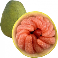 南步四川广安龙安柚 广安特产酸甜老树红心丑柚红肉蜜柚新鲜水果礼盒 5斤 精选大果【2个装】普箱