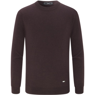 有券的上、今日必买：EMZ 鄂尔多斯 100%羊毛男士套头羊毛衫轻盈保暖7A抑菌 深咖