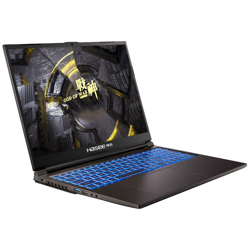 Hasee 神舟 战神 TX8R9 十三代酷睿版 16.0英寸 游戏本 黑色（酷睿i9-13900HX、RTX 4060 8G、16GB、1TB SSD、2.5K、IPS、165Hz）