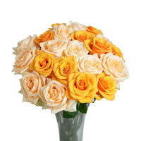 京东鲜花玫瑰花颜色20枝山东基地新鲜采摘家40cm长源头直发