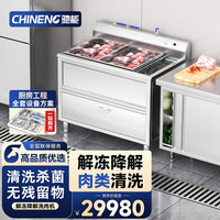 驰能 全动自动商用洗菜机家用果蔬清洗机水触媒净化机去农药嵌入式商用	CN-YSJK-QX170-XR