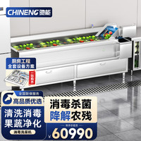 驰能 全动自动商用洗菜机家用果蔬清洗机水触媒净化机去农药嵌入式商用