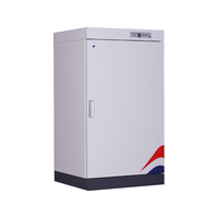 ZHONGWEI 中伟 档案文件图书消毒柜资料灭菌柜YLD200B款二层固定托板